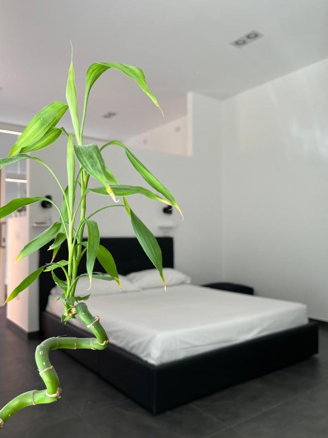 Loft Galla Placidia Ravenna Exteriér fotografie